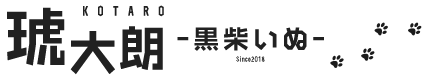 黒柴犬の琥大朗(こたろう)|Shibainu Kotaro