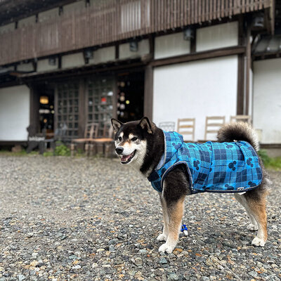 蕎麦工房 五色庵［那須］