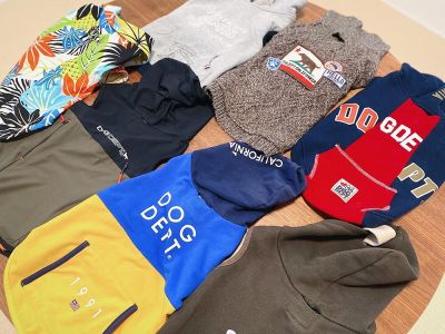 わんこに服を着せる理由と皮膚トラブル予防