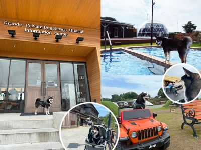 【茨城・千葉旅行】グランデ プライベート ドッグリゾート常陸に行って来たよ!