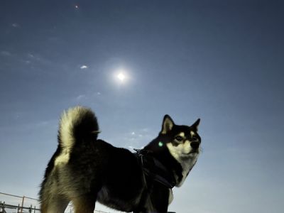 皆既月食×天王星食