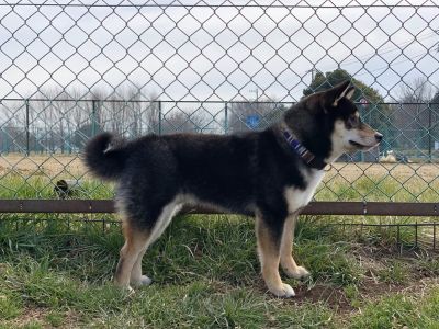【東京都調布市】神代植物公園と深大寺そば