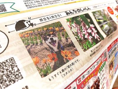 フリーペーパー『もしもし』誌面版・WEB版に掲載していただきました!
