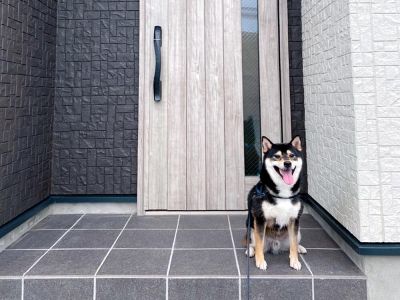 今日で引っ越して2年!琥大朗と引っ越ししようと検討した理由