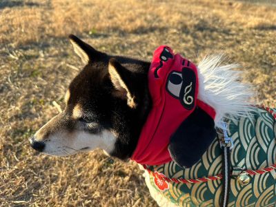 2023年あけましておめでとうございます!