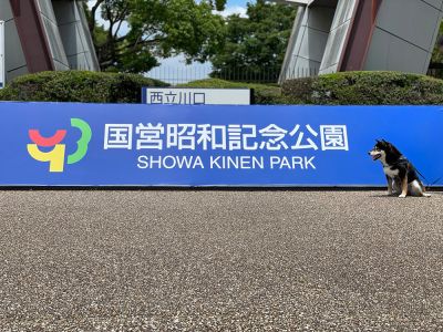 【東京都立川市】国営昭和記念公園を散歩♪あまりにも広すぎます!