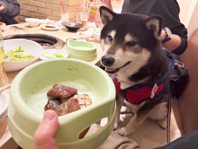 抗がん剤前に、大好きな「うしすけ」さんでお肉祭り!