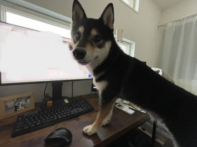 外の風が強くて恐怖!