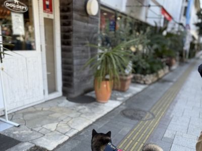 ショッピング施設