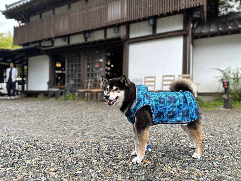 蕎麦工房 五色庵［那須］